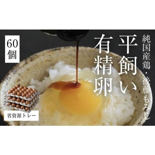 ふるさと納税 卵(鶏、烏骨鶏等) 岡山県 西粟倉村 平飼い有精卵 省資源トレー 60個[西粟倉村] 株式会社点々 t-SS-ArDA