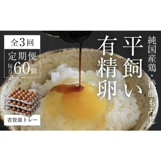 ふるさと納税 卵(鶏、烏骨鶏等) 岡山県 西粟倉村 全3回定期便 平飼い有精卵 省資源トレー 60個 [西粟倉村] 株式会社点々 t-SS-BrDA