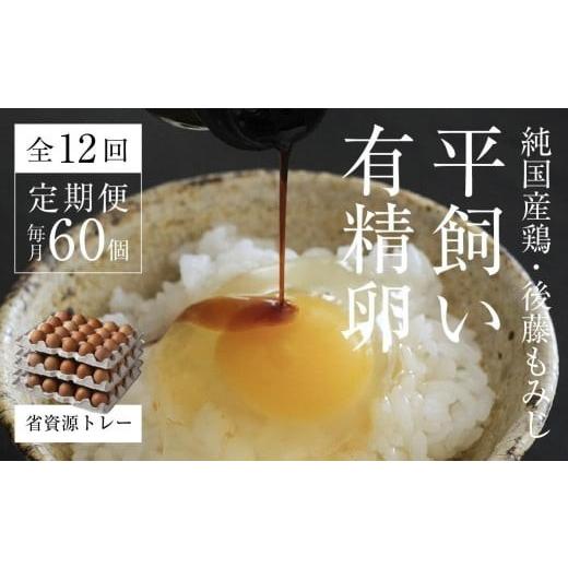 ふるさと納税 卵(鶏、烏骨鶏等) 岡山県 西粟倉村 全12回定期便 平飼い有精卵 省資源トレー 60個 [西粟倉村] 株式会社点々 t-SS-DrDA