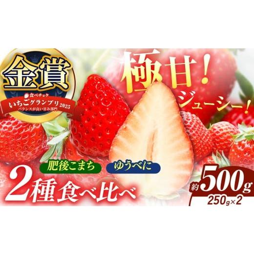 ふるさと納税 いちご 熊本県 玉名市 いちご 2種類 食べ比べ 肥後こまち ゆうべに 約500g(各250g) | 肥後こまち ゆうべに フルーツ 果物 くだもの 苺 いちご …
