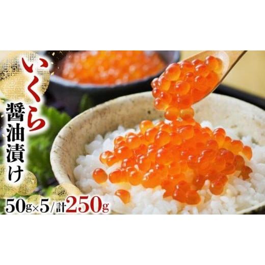 ふるさと納税 いくら 北海道 岩内町 いくら醤油漬け 250g(50g×5) 順次発送 いくら 海鮮 北海道 イクラ 冷凍 醤油漬け 海産物 045-a008 発送時期 順次発送