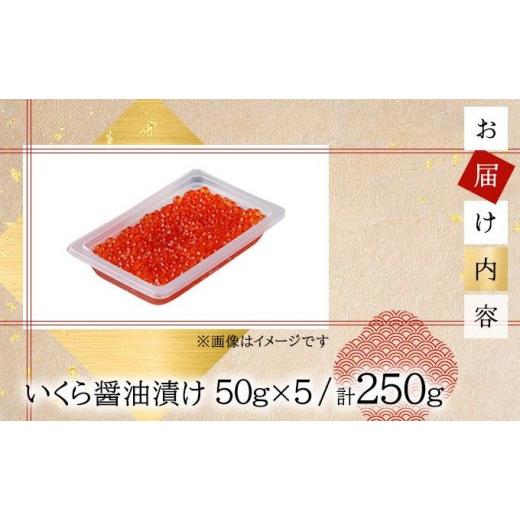 ふるさと納税 いくら 北海道 岩内町 いくら醤油漬け 250g（50g×5） 順次発送 いくら 海鮮 北海道 イクラ 冷凍 醤油漬け 海産物 045-a008 発送時期 順次発送_4
