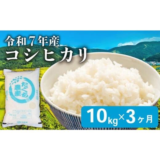 ふるさと納税 米 コシヒカリ 滋賀県 彦根市 先行予約 令和7年産 こしひかり 3ヶ月 定期便 10kg 新米 精米 米 コメ お米 白米 ご飯 コシヒカリ 5kg 2袋 令和7…