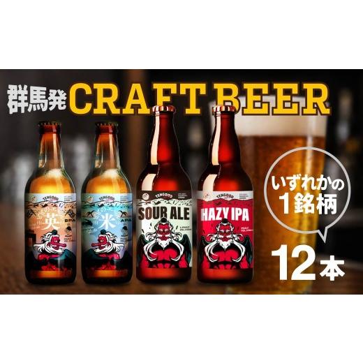 ふるさと納税 ビール 地ビール 群馬県 前橋市 クラフトビール TENGOOD BEER 同一銘柄12本セット | ビール お酒 クラフトビール 地ビール テングビール ペール…