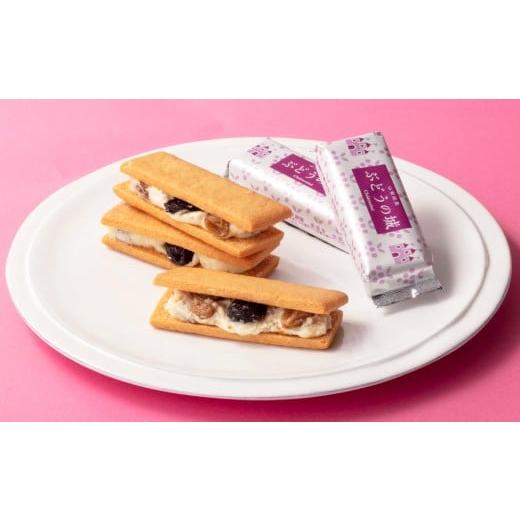 ふるさと納税 焼菓子・チョコレート 山梨県 中央市 シャトレーゼ 山梨県限定 レーズンサンド 6個 ゴールデンレーズン フレームシードレスレーズン 洋酒漬けレ…