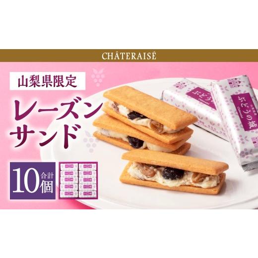 ふるさと納税 焼菓子・チョコレート 山梨県 中央市 シャトレーゼ 山梨