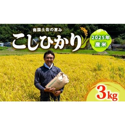 ふるさと納税 米 コシヒカリ 高知県 須崎市 2025年 コシヒカリ 3Kg 産地直送 高知県産 白米 精米 こしひかり 米 常温 配送 ブランド米 国産 米 早場米 人気 天…