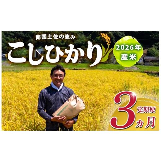 ふるさと納税 米 コシヒカリ 高知県 須崎市 R8 新米 コシヒカリ 5kg 定期便 3ヶ月 8月下旬から発送 新米 産地直送 高知県産 白米 精米 こしひかり 米 常温 配…