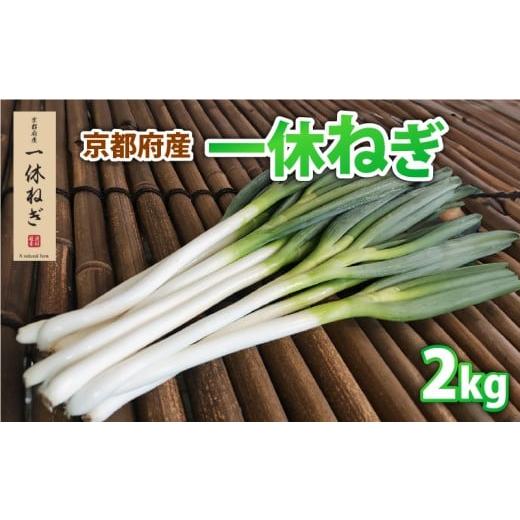 ふるさと納税 野菜類 ねぎ 京都府 井手町 京都府産 一休ねぎ 2kg 白ねぎ 白ネギ 白葱 葱 ねぎ 野菜 やさい お取り寄せ 産地直送 鍋 新鮮 薬味 家庭用 業務用 …