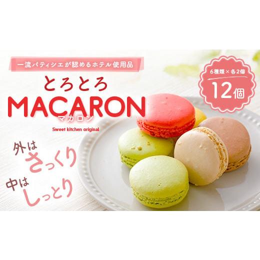 ふるさと納税 焼菓子・チョコレート マカロン 熊本県 益城町 2025年11月発送 一流パティシエが認めるホテル使用品 お試し マカロン セット 12個(6種類×2個…