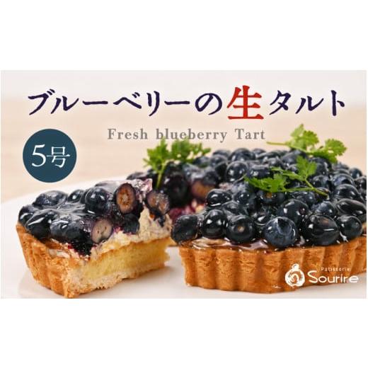 ふるさと納税 ケーキ・カステラ フルーツケーキ 福井県 坂井市 先行予約 数量限定 サクサク食感 ブルーベリーのフレッシュタルトケーキ 5号:直径15cm (4〜5…
