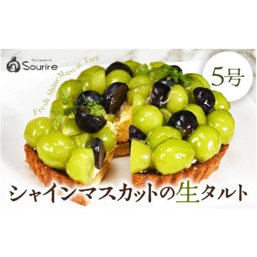 ふるさと納税 ケーキ・カステラ フルーツケーキ 福井県 坂井市 先行予約 数量限定 サクサク食感 シャインマスカットのフレッシュタルトケーキ 5号:直径15cm …