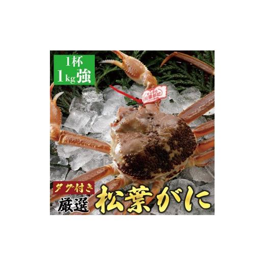 ふるさと納税 カニ 松葉ガニ 鳥取県 北栄町 756. 活 2027年1月〜2027年3月発送 特撰 松葉がに(なま) ブランドタグ付き 1kg超の大きいサイズ 食べ応えあり 特…