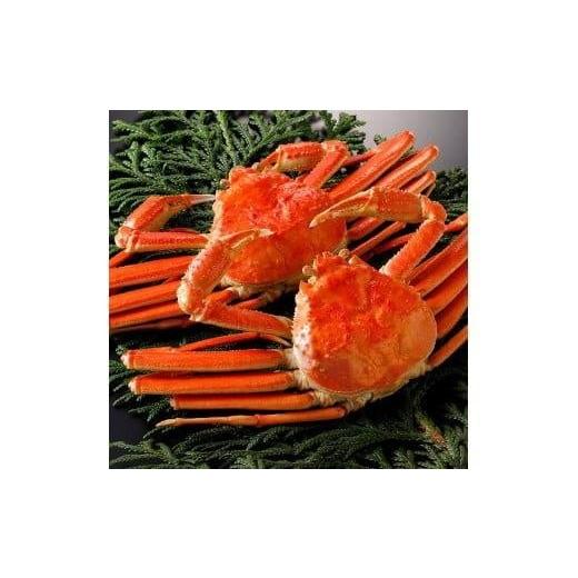 ふるさと納税 カニ 松葉ガニ 鳥取県 北栄町 755. ボイル 2025年11月発送 特撰 松葉がに ブランドタグ付き 特大2杯(1kg超×2杯) ボイル [タグ付き]厳選松葉…