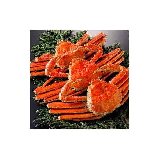 ふるさと納税 カニ 松葉ガニ 鳥取県 北栄町 754. ボイル 2025年11月発送 特撰 松葉がに ブランドタグ付き 特大3杯(1kg×3杯) ボイル [タグ付き]厳選松葉が…