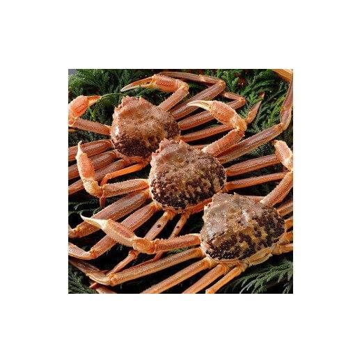 ふるさと納税 カニ 松葉ガニ 鳥取県 北栄町 763. 活 2025年11月発送 特撰 松葉がに ブランドタグ付き (700g超×3杯) 活 [タグ付き]厳選松葉がに 特大3杯(…