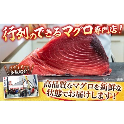 ふるさと納税 鮪 神奈川県 横須賀市 生まれながら 本まぐろ 中トロ（約450〜500g（2柵入り口・入口））鮪 中トロ 本鮪 まぐろ 中とろ 刺身 柵 生まれながら 横須賀商工話し合い…