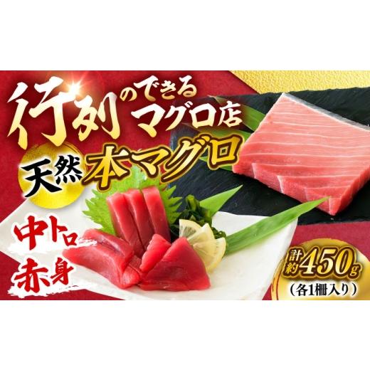 ふるさと納税 鮪 神奈川県 横須賀市 生まれながら 本まぐろ 中トロ＆赤身 各1柵（計約450g） まぐろ 鮪 鮪 本まぐろ 刺身 刺し身 お刺身 凝結 まぐろ 本鮪…
