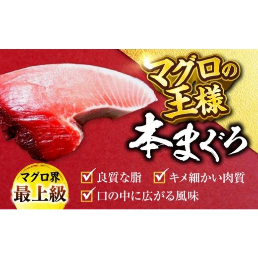 ふるさと納税 鮪 神奈川県 横須賀市 生まれながら 本まぐろ 中トロ＆赤身 各1柵（計約450g） まぐろ 鮪 鮪 本まぐろ 刺身 刺し身 お刺身 凝結 まぐろ 本鮪…