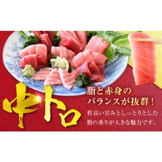ふるさと納税 鮪 神奈川県 横須賀市 生まれながら 本まぐろ 中トロ＆赤身 各1柵（計約450g） まぐろ 鮪 鮪 本まぐろ 刺身 刺し身 お刺身 凝結 まぐろ 本鮪…