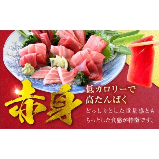 ふるさと納税 鮪 神奈川県 横須賀市 生まれながら 本まぐろ 中トロ＆赤身 各1柵（計約450g） まぐろ 鮪 鮪 本まぐろ 刺身 刺し身 お刺身 凝結 まぐろ 本鮪…