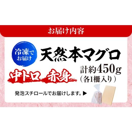 ふるさと納税 鮪 神奈川県 横須賀市 生まれながら 本まぐろ 中トロ＆赤身 各1柵（計約450g） まぐろ 鮪 鮪 本まぐろ 刺身 刺し身 お刺身 凝結 まぐろ 本鮪…