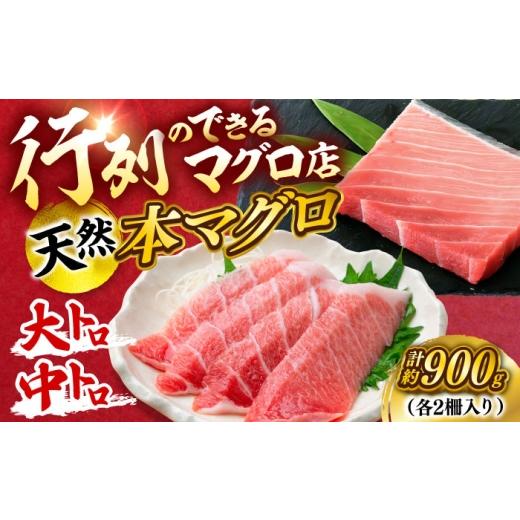 ふるさと納税 マグロ 神奈川県 横須賀市 天然 本まぐろ大トロ＆中トロ 各2柵（計約900g）マグロ 大トロ 中トロ 鮪 大とろ 中とろ 本マグロ 冷凍 柵 刺身 天然 …の画像