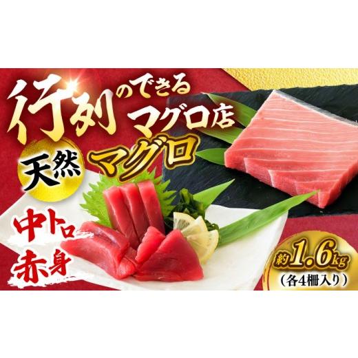 ふるさと納税 マグロ 神奈川県 横須賀市 天然 まぐろ 中トロ＆赤身 各4柵（計約1.6kg）マグロ 中トロ 赤身 鮪 中とろ 本マグロ 冷凍 刺身 天然 高級 メバチま…の画像
