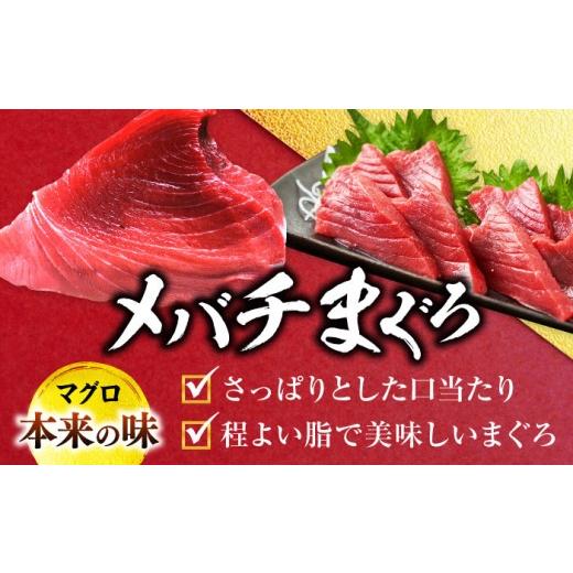 ふるさと納税 マグロ 神奈川県 横須賀市 天然 まぐろ 中トロ＆赤身 各4柵（計約1.6kg）マグロ 中トロ 赤身 鮪 中とろ 本マグロ 冷凍 刺身 天然 高級 メバチま…の画像