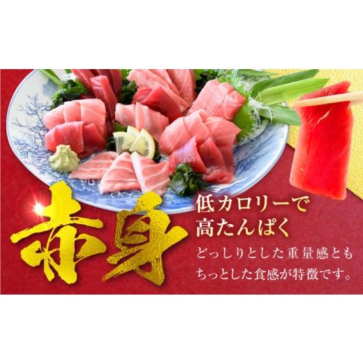 ふるさと納税 マグロ 神奈川県 横須賀市 天然 まぐろ 中トロ＆赤身 各4柵（計約1.6kg）マグロ 中トロ 赤身 鮪 中とろ 本マグロ 冷凍 刺身 天然 高級 メバチま…の画像