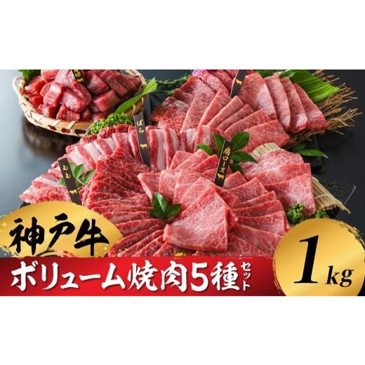 ふるさと納税 牛肉 焼肉・バーベキュー 兵庫県 豊岡市 神戸牛 ボリューム焼肉セット 肩ロース 肩 モモ バラ 赤身角切り(1kg:200g×5種) 帝神志方ミート 1kg…