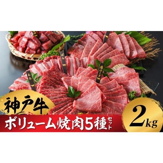 ふるさと納税 牛肉 焼肉・バーベキュー 兵庫県 豊岡市 神戸牛 ボリューム焼肉セット 肩ロース 肩 モモ バラ 赤身角切り(2kg:200g×5種×2パック) 帝神志方…
