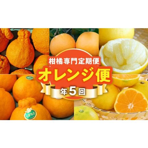 ふるさと納税 みかん・柑橘類 熊本県 宇土市 T006-mikan オレンジ便 年に5回お届け 柑橘専門の定期便