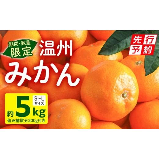 ふるさと納税 果物類 みかん 宮崎県 宮崎市 [2025年発送先行予約] 期間・数量限定 温州みかん5kg(傷み補償分200g付き)_M249-001-01 13,000円 温州みかん5kg…