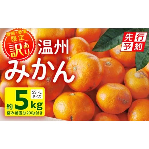 ふるさと納税 果物類 みかん 宮崎県 宮崎市 [2025年発送先行予約] 期間・数量限定 [訳あり]温州みかん5kg(傷み補償分200g付き)_M249-003-02 11,000円 […