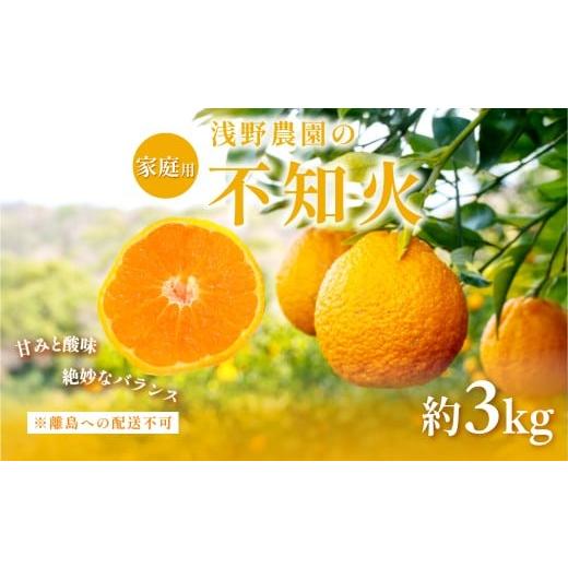 ふるさと納税 果物類 みかん 愛媛県 伊方町 先行予約 家庭用 不知火 約3kg 離島への配送不可(2026年2月中旬頃より順次発送予定) ふるさと納税 人気 おすす…