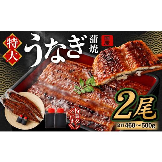 ふるさと納税 うなぎ 大阪府 阪南市 国産 うなぎ 蒲焼 2尾 (460 〜 500g)と 特製タレ 2個 セット 2025年12月20日発送 | 鰻 ウナギ 蒲焼き うなぎ蒲焼 セイ…