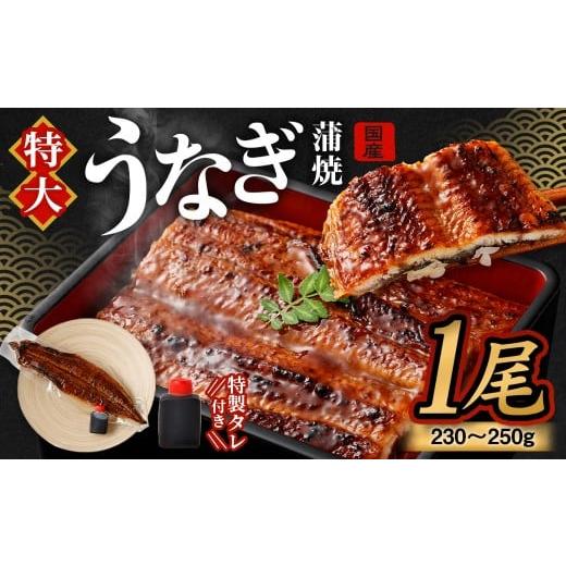 ふるさと納税 うなぎ 大阪府 阪南市 国産うなぎ蒲焼 1尾(230〜250g)と特製タレ1個セット 2025年12月27日発送 | 鰻 ウナギ 蒲焼 うなぎ蒲焼 タレ付 大阪府 …
