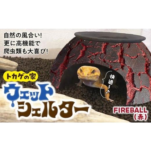 ふるさと納税 雑貨・日用品 インテリア 埼玉県 北本市 トカゲの家