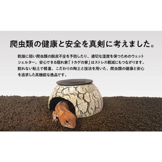 ふるさと納税 雑貨・日用品 インテリア 埼玉県 北本市 トカゲの家