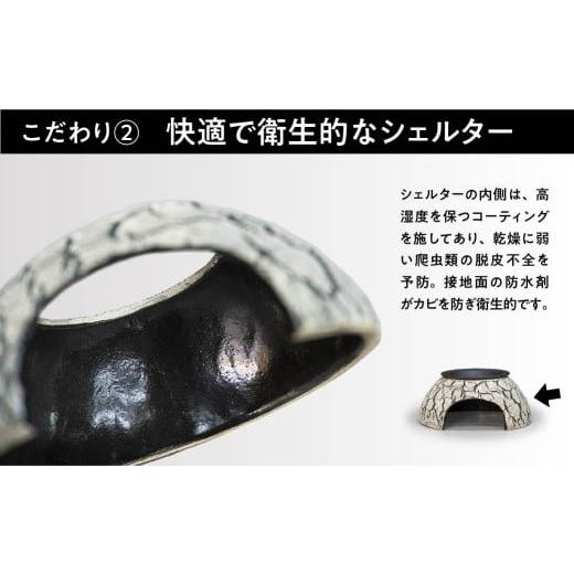 ふるさと納税 雑貨・日用品 インテリア 埼玉県 北本市 トカゲの家