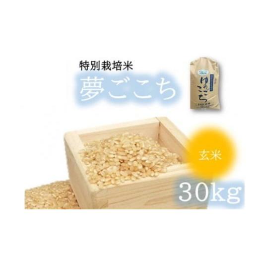 ふるさと納税 米 三重県 松阪市 夢ごこち(特別栽培米)玄米 30kg 002116A