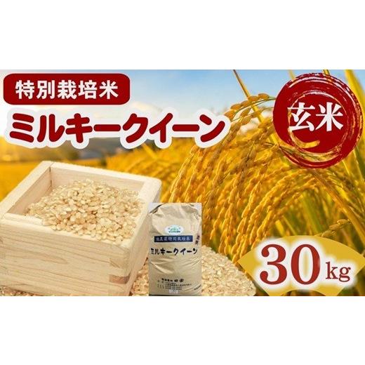 ふるさと納税 米 ミルキークイーン 三重県 松阪市 ミルキークイーン