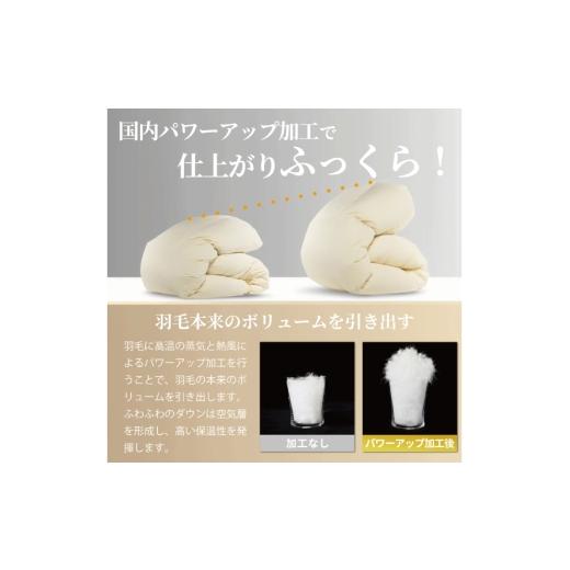 ふるさと納税 タオル・寝具 掛け布団 山梨県 韮崎市 羽毛布団 本掛け ダブル マザーグースダウン 95％ ポーランド産 冬用 1.6kg 80番手 サテン シルバー 綿100…の画像