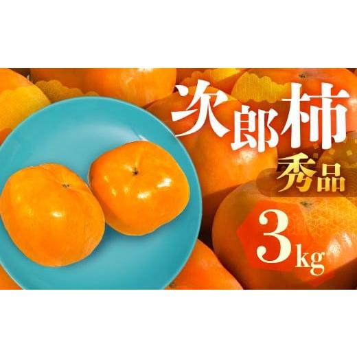 ふるさと納税 果物類 柿 愛知県 豊橋市 先行予約 数量限定 生産量日本一 愛知県豊橋産 次郎柿 秀品 贈り物にも 3kg 柿 甘柿 果物 フルーツ 10月 11月 愛知県 …