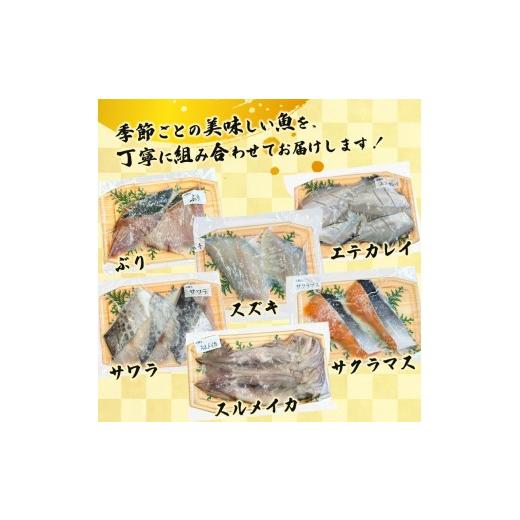 ふるさと納税 漬魚（味噌・粕等） 京都府 舞鶴市 塩麹漬けセット 4パック（2〜5切入り×4） | 漬け魚 アソート ランダム イサキ スズキ 真鯛 ブリ サワラ サワ…_4