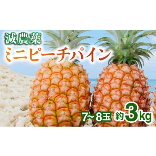 ふるさと納税 果物類 沖縄県 竹富町 2026年 先行予約 栽培期間中 減農薬 ミニピーチパイン 3kg (7〜8玉) 西表島アナナス農園 完熟 パイン 果物 フルーツ 減農…