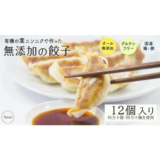 ふるさと納税 野菜類 加工品 高知県 須崎市 葉 にんにく と 四万十豚 で作った 最高級餃子 ( 6個入り × 2 パック ) 餃子 ギョーザ 焼き餃子 やきぎょうざ …