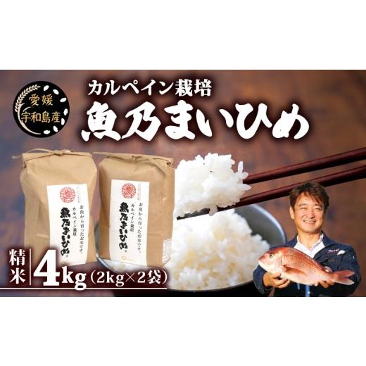 ふるさと納税 米 コシヒカリ 愛媛県 宇和島市 令和7年産 コシヒカリ 魚乃まいひめ カルペイン栽培 4kg (2kg×2袋) 精米 秀長水産 三間米 お米 米 環境保全 カ…