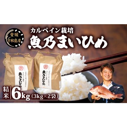 ふるさと納税 米 コシヒカリ 愛媛県 宇和島市 令和8年産 コシヒカリ 魚乃まいひめ カルペイン栽培 6kg (3kg×2袋) 精米 秀長水産 三間米 お米 米 環境保全 カ…